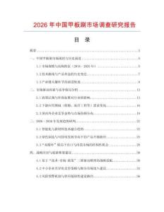 2026年中國甲板刷市場調查研究報告