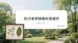 四月春季植物科普課件