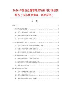 2026年黑白显像管玻壳项目可行性研究报告（市场数据调查、监测研究）