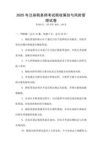 2025年注冊稅務師考試稅收籌劃與風險管理試卷