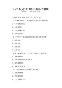2025年大數(shù)據(jù)挖掘技術(shù)考試及答案