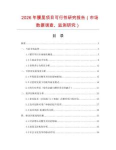2026年腰里項目可行性研究報告（市場數據調查、監測研究）