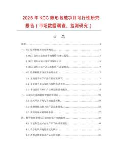 2026年KCC隱形拉鏈項目可行性研究報告（市場數(shù)據(jù)調(diào)查、監(jiān)測研究）