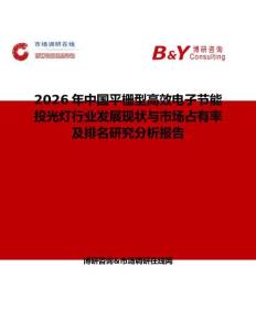 2026年中国平栅型高效电子节能投光灯行业发展现状与市场占有率及排名研究分析报告