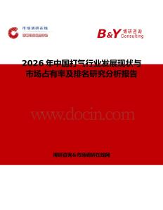 2026年中國打氣行業(yè)發(fā)展現(xiàn)狀與市場(chǎng)占有率及排名研究分析報(bào)告