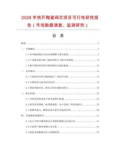 2026年快開陶瓷閥芯項(xiàng)目可行性研究報(bào)告（市場數(shù)據(jù)調(diào)查、監(jiān)測研究）