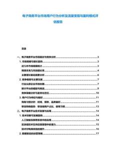电子商务平台市场用户行为分析及流量变现与盈利模式评估报告