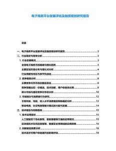 电子商务平台发展评估及融资规划研究报告
