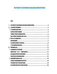 电子商务平台竞争格局与商业模式创新研究报告