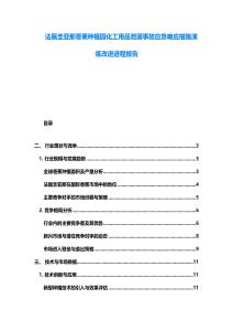 法屬圭亞那香蕉種植園化工用品泄漏事故應(yīng)急響應(yīng)措施演練改進(jìn)進(jìn)程報(bào)告