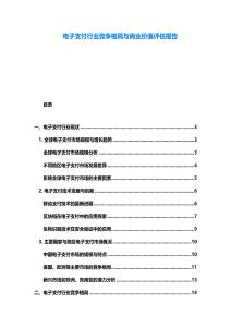 電子支付行業(yè)競爭格局與商業(yè)價值評估報告