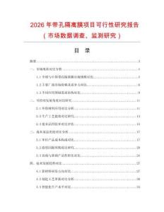 2026年帶孔隔離膜項(xiàng)目可行性研究報(bào)告（市場數(shù)據(jù)調(diào)查、監(jiān)測研究）