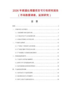 2026年頻道處理器項目可行性研究報告（市場數據調查、監測研究）