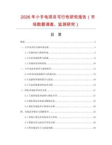 2026年小手电项目可行性研究报告（市场数据调查、监测研究）
