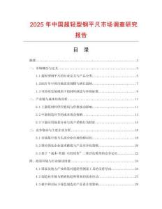 2025年中國(guó)超輕型鋼平尺市場(chǎng)調(diào)查研究報(bào)告