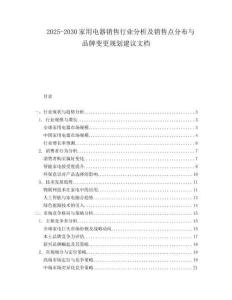 2025-2030家用電器銷售行業分析及銷售點分布與品牌變更規劃建議文檔