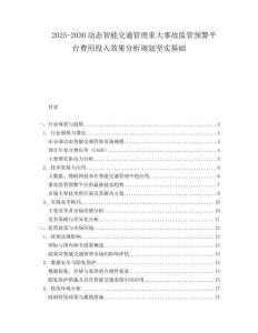 2025-2030动态智能交通管理重大事故监管预警平台费用投入效果分析规划坚实基础