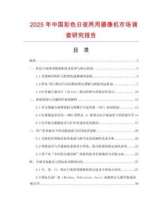 2025年中國(guó)彩色日夜兩用攝像機(jī)市場(chǎng)調(diào)查研究報(bào)告