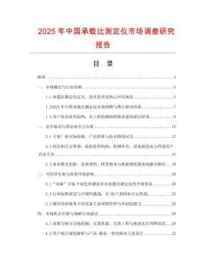 2025年中國(guó)承載比測(cè)定儀市場(chǎng)調(diào)查研究報(bào)告