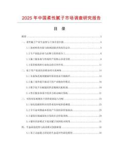 2025年中國柔性膩子市場調查研究報告