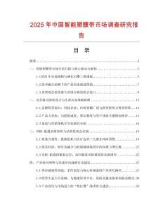 2025年中國智能塑腰帶市場調查研究報告
