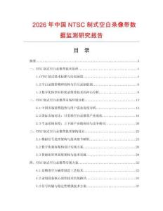 2026年中國NTSC制式空白錄像帶數據監測研究報告