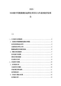 2025-2030航空母艦艦載機(jī)起降技術(shù)優(yōu)化與作戰(zhàn)效能評(píng)估報(bào)告