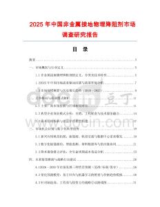 2025年中國非金屬接地物理降阻劑市場調查研究報告