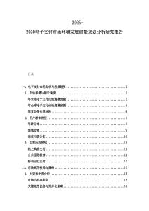 2025-2030電子支付市場環(huán)境發(fā)展前景規(guī)劃分析研究報告