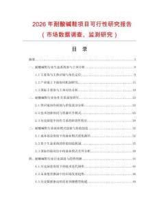 2026年耐酸堿鞋項目可行性研究報告（市場數據調查、監測研究）