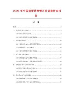 2025年中國鼓型轉角管市場調查研究報告