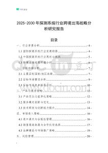 2025-2030年探測系統行業跨境出海戰略分析研究報告