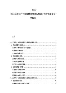 2025-2030互聯網廣告投放精準度和品牌溢價與營銷策略研究報告