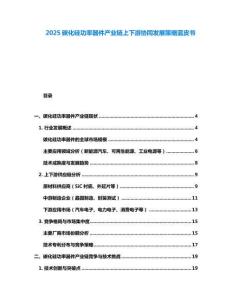 2025碳化硅功率器件產(chǎn)業(yè)鏈上下游協(xié)同發(fā)展策略藍(lán)皮書(shū)