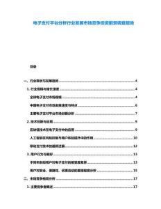 電子支付平臺分析行業(yè)發(fā)展市場競爭投資前景調(diào)查報告