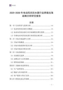 2025-2030年電動風擋刮水器行業跨境出海戰略分析研究報告