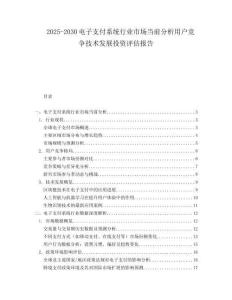 2025-2030電子支付系統(tǒng)行業(yè)市場當(dāng)前分析用戶競爭技術(shù)發(fā)展投資評估報告