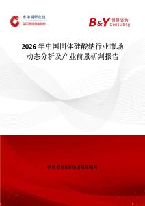 2026年中國(guó)固體硅酸納行業(yè)市場(chǎng)動(dòng)態(tài)分析及產(chǎn)業(yè)前景研判報(bào)告