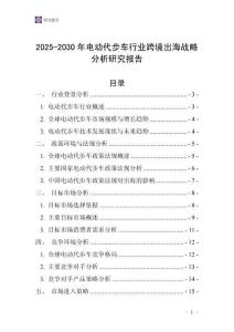 2025-2030年電動(dòng)代步車行業(yè)跨境出海戰(zhàn)略分析研究報(bào)告