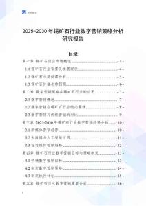 2025-2030年錫礦石行業(yè)數(shù)字營(yíng)銷策略分析研究報(bào)告