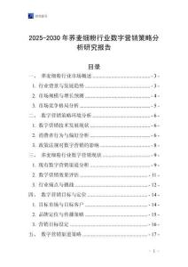 2025-2030年蕎麥細粉行業(yè)數(shù)字營銷策略分析研究報告