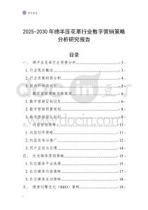 2025-2030年綿羊壓花革行業(yè)數(shù)字營(yíng)銷策略分析研究報(bào)告