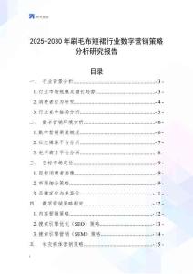 2025-2030年刷毛布短裙行業數字營銷策略分析研究報告