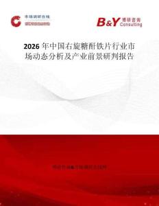 2026年中國(guó)右旋糖酐鐵片行業(yè)市場(chǎng)動(dòng)態(tài)分析及產(chǎn)業(yè)前景研判報(bào)告