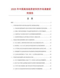 2025年中國高效硅質(zhì)密實劑市場調(diào)查研究報告