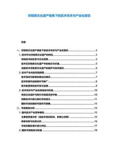 非物質文化遺產視角下的武術傳承與產業化報告