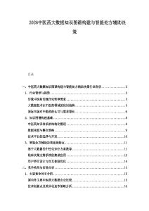 2026中医药大数据知识图谱构建与智能处方辅助决策