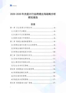 2025-2030年光度計行業跨境出海戰略分析研究報告