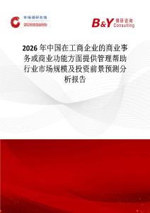 2026年中國在工商企業的商業事務或商業功能方面提供管理幫助行業市場規模及投資前景預測分析報告