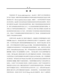 基于免疫耐受原理的BoAHV1抗體制備及影響病毒復(fù)制的關(guān)鍵分子TFAM的鑒定